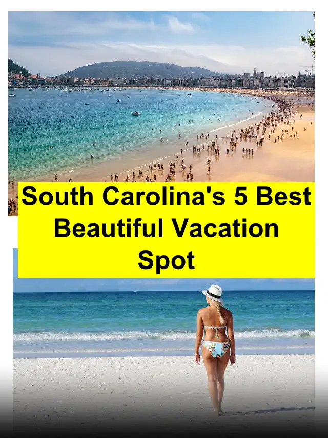 Top 5 Attractive Vacation Places In South Carolina